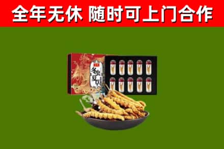 武义烟酒回收冬虫夏草礼盒.jpg